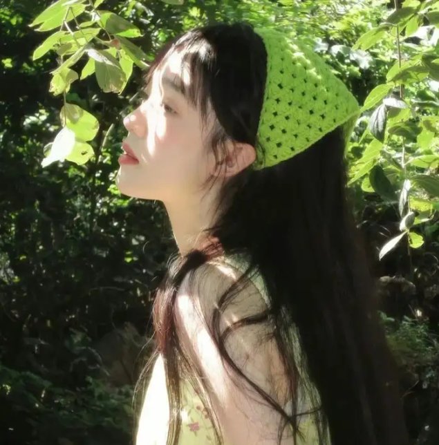 群狗逐狮